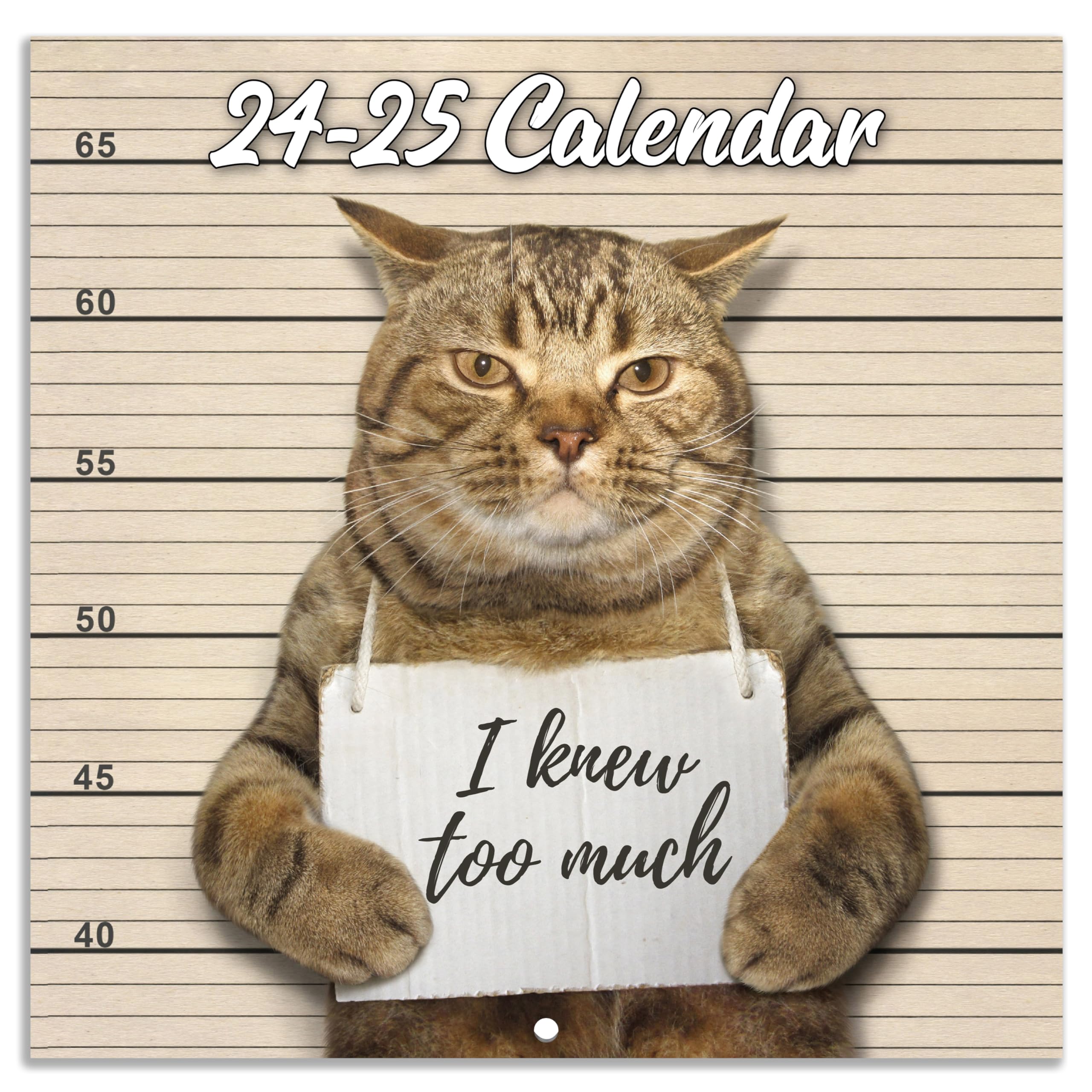2024-2025 Wall Calendar - Sep. 2024 - Dec. 2025, Funny Cat Calendar 2024-2025, 16-Month Calendar, Funny Cat Memes Pics, 12' X 2