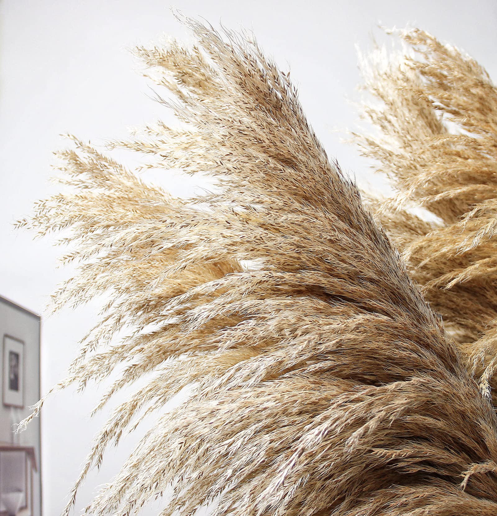46'' Inch 10 Stems Natural Pampas Grass Decor Tall, Pompas Grass, Tall Pampas Grass For Weddingm, Farmhouse, Boho Home Decor (Br
