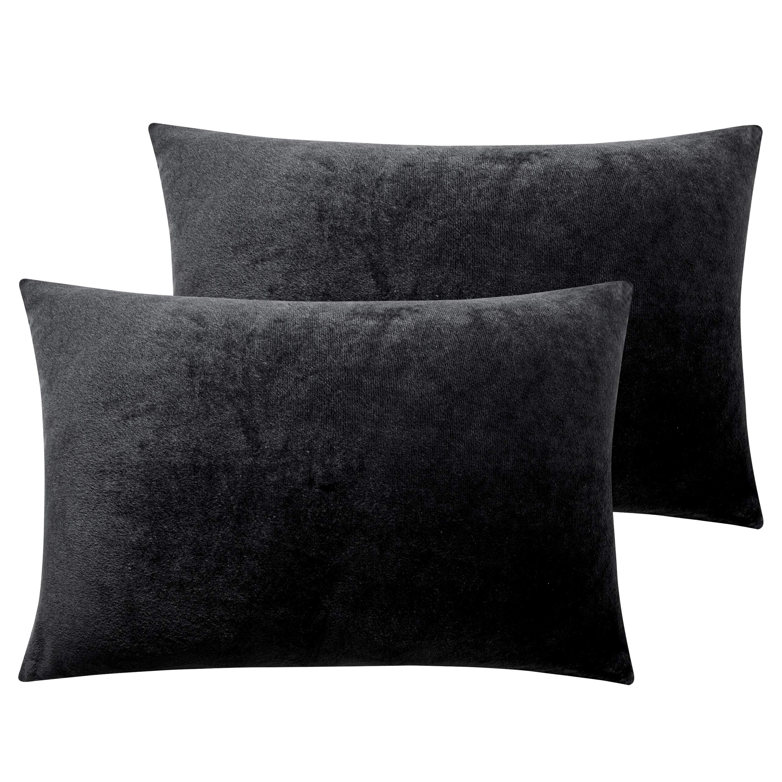Ntbay Velvet Soft Solid Color Zipped Toddler Pillowcases, 2 Pack Cozy Luxury Zippered Plush Travel Pillow Cases, 13X18 Inches, B