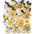 35Pcs Dried Pressed Flowers For Resin Molds,Youthbro Real Natural Pressed Flowers For Diy Art Crafts,Candle Making, Nails Décor,Soap Making, Boho Style