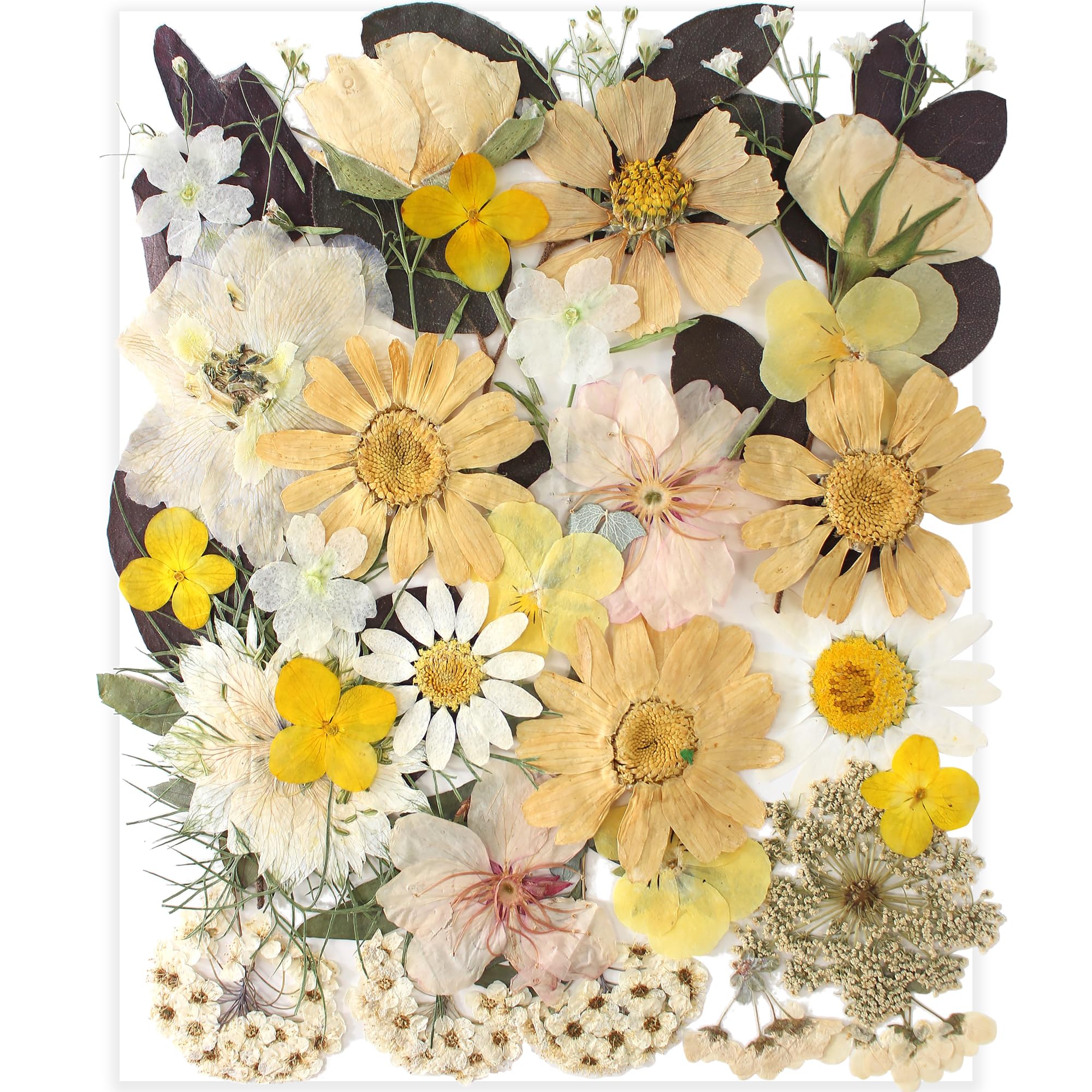 35Pcs Dried Pressed Flowers For Resin Molds,Youthbro Real Natural Pressed Flowers For Diy Art Crafts,Candle Making, Nails Décor,Soap Making, Boho Style