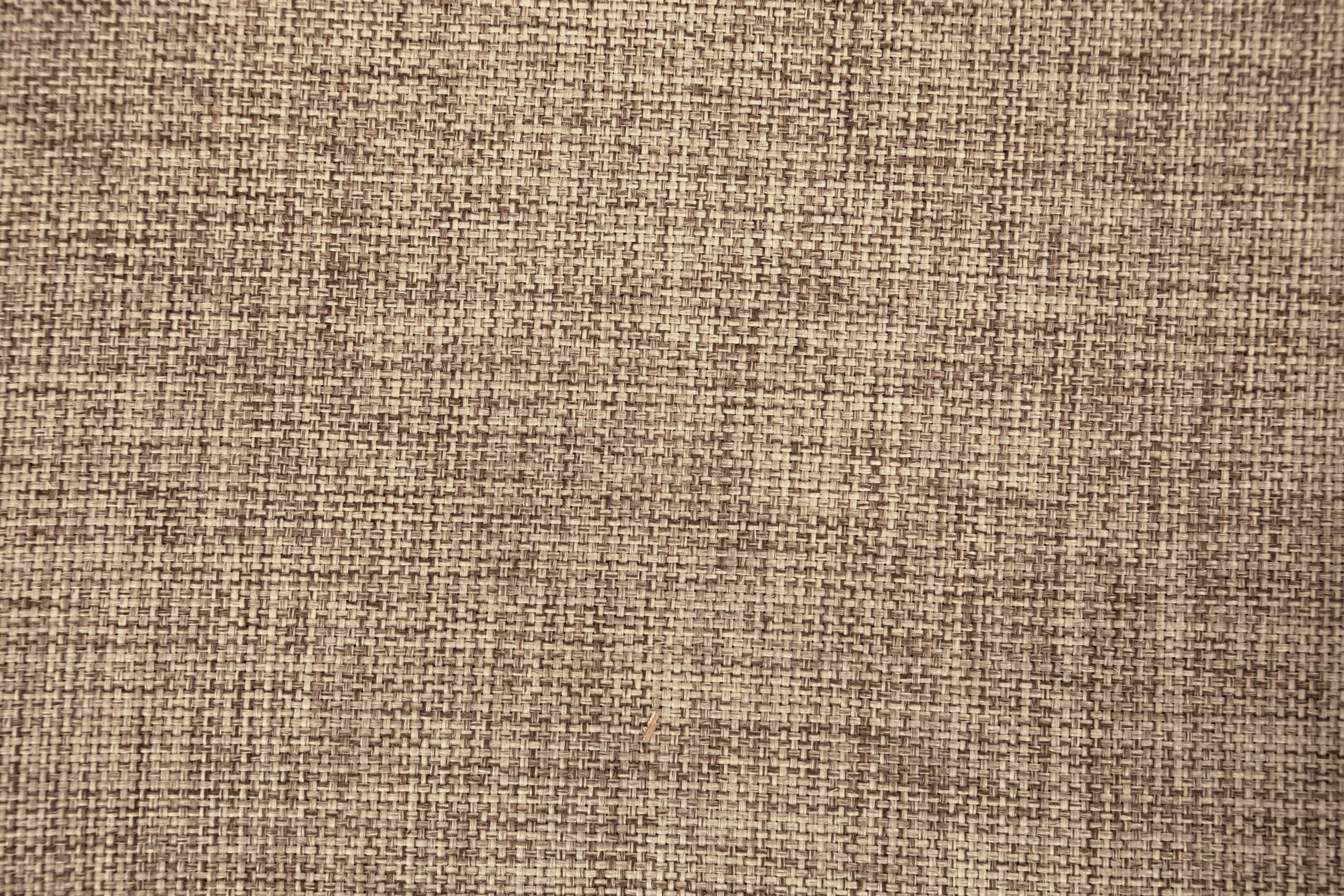 Acme Furniture Nathaniel Arm Chair (Set-2), 19 x 22 x 39, Fabric & Maple