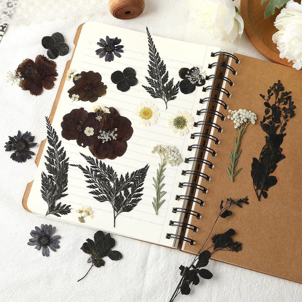Augshy Black Dried Pressed Flowers, 120 Pcs Halloween Dried Flowers For Resin Molds Real Pressed Flowers For Crafts Diy Jewelry