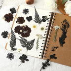 Augshy Black Dried Pressed Flowers, 120 Pcs Halloween Dried Flowers For Resin Molds Real Pressed Flowers For Crafts Diy Jewelry
