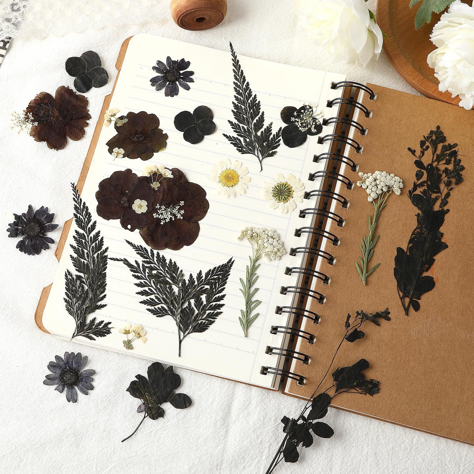 Augshy Black Dried Pressed Flowers, 120 Pcs Halloween Dried Flowers For Resin Molds Real Pressed Flowers For Crafts Diy Jewelry