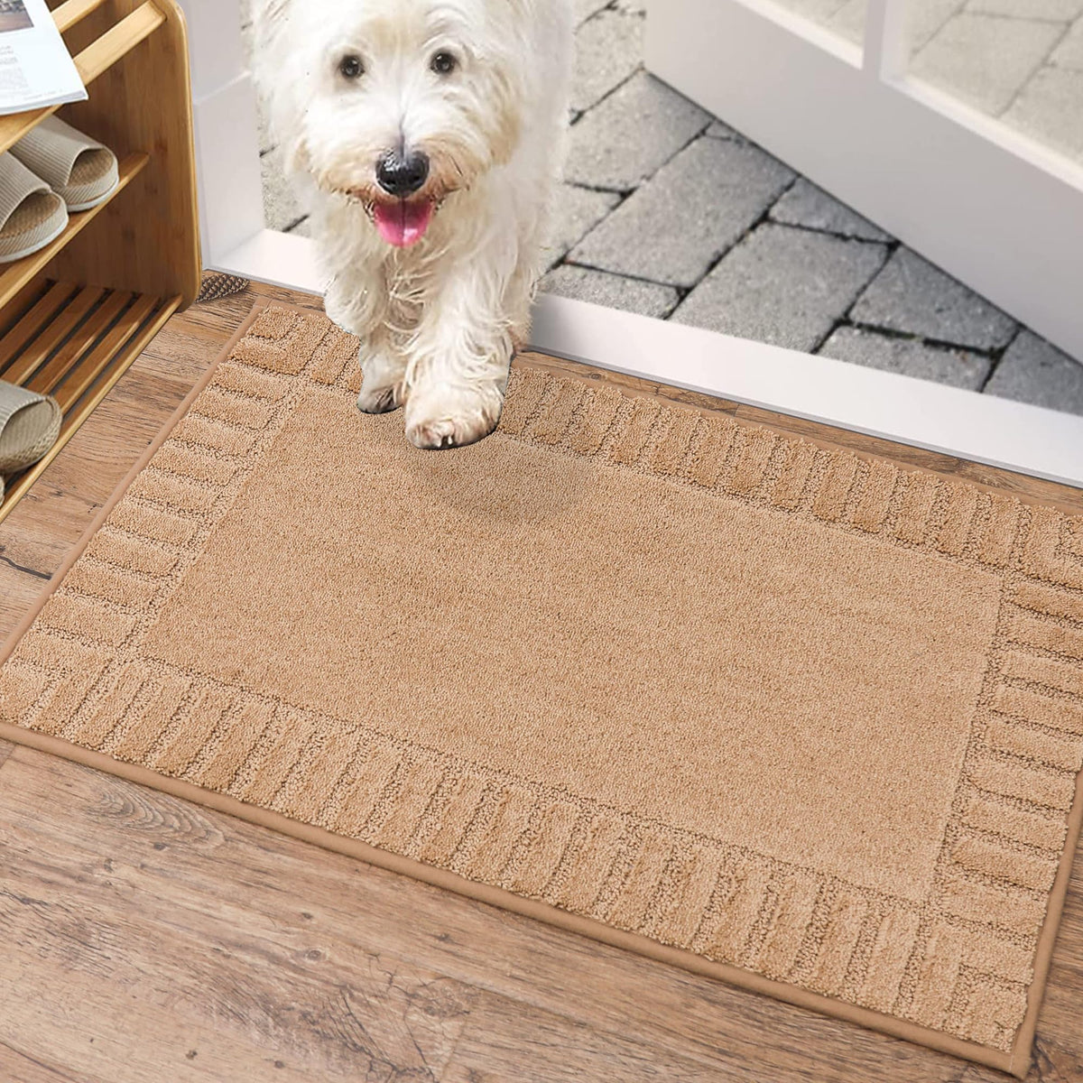 Beqhause Door-Mat-Non-Slip Front Door Mat Washable Low-Profile Entrance Mats For Front Door Entry Dirt Trapper Door Mat Absorben