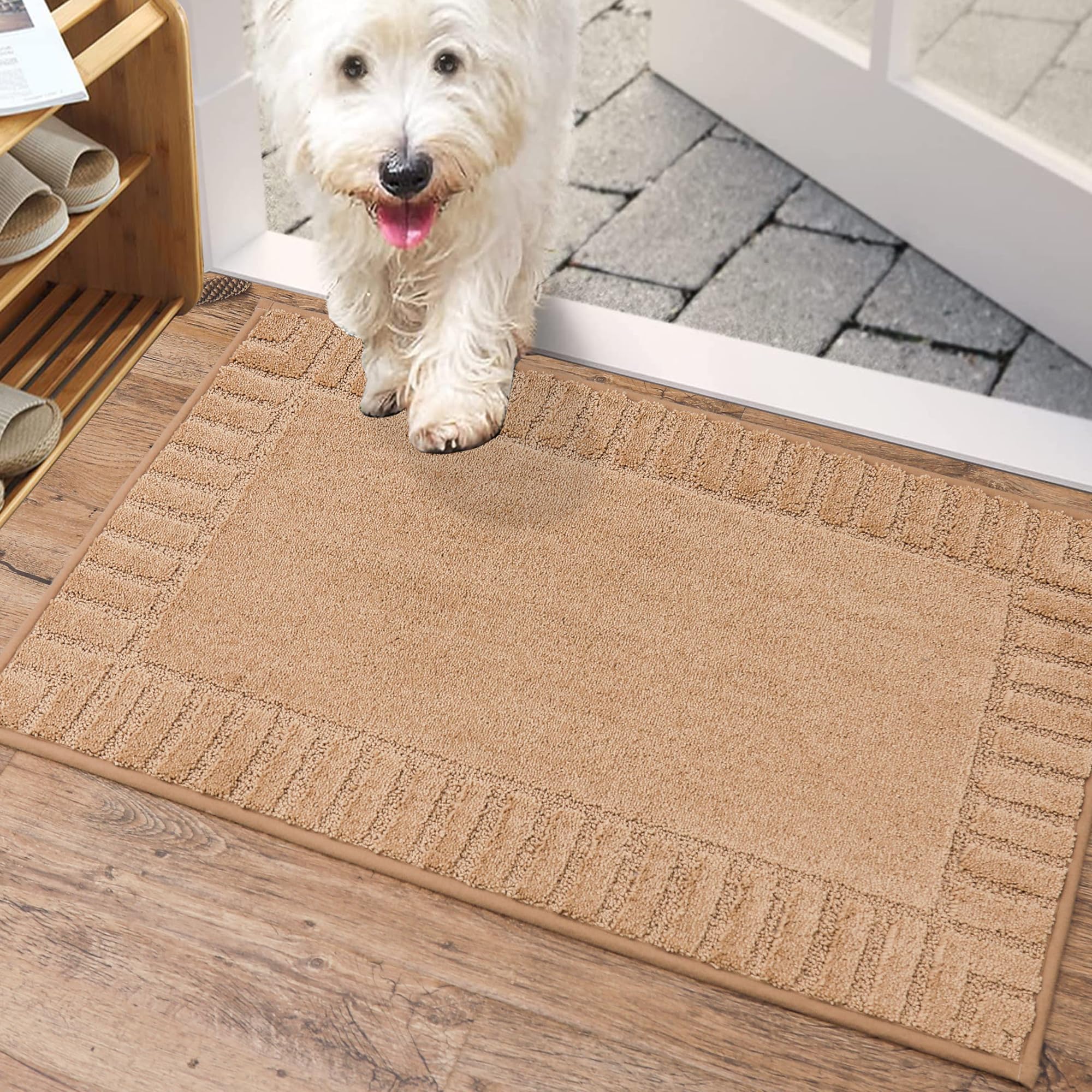 Beqhause Door-Mat-Non-Slip Front Door Mat Washable Low-Profile Entrance Mats For Front Door Entry Dirt Trapper Door Mat Absorben