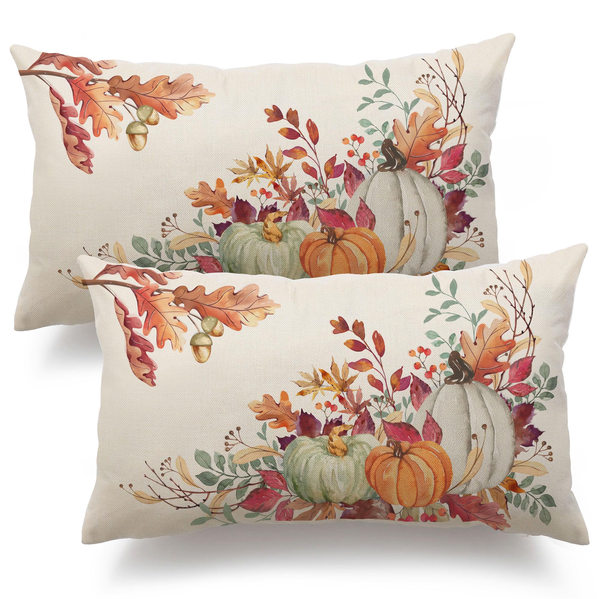 Dfxsz Fall Pillow Covers 12X20 Inch Set Of 2 Orange White Pumpkin Fallen Leaves Decorative Outdoor Throw Pillow Covers Autumn Thanksgiving Farmhouse Decoration For Home Couch Th27-A12