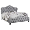 Coaster Home Furnishings Bella Modern Classic Velvet Upholstered California King Size Panel Bed Frame 55-inch Headboard Grey 315871KW