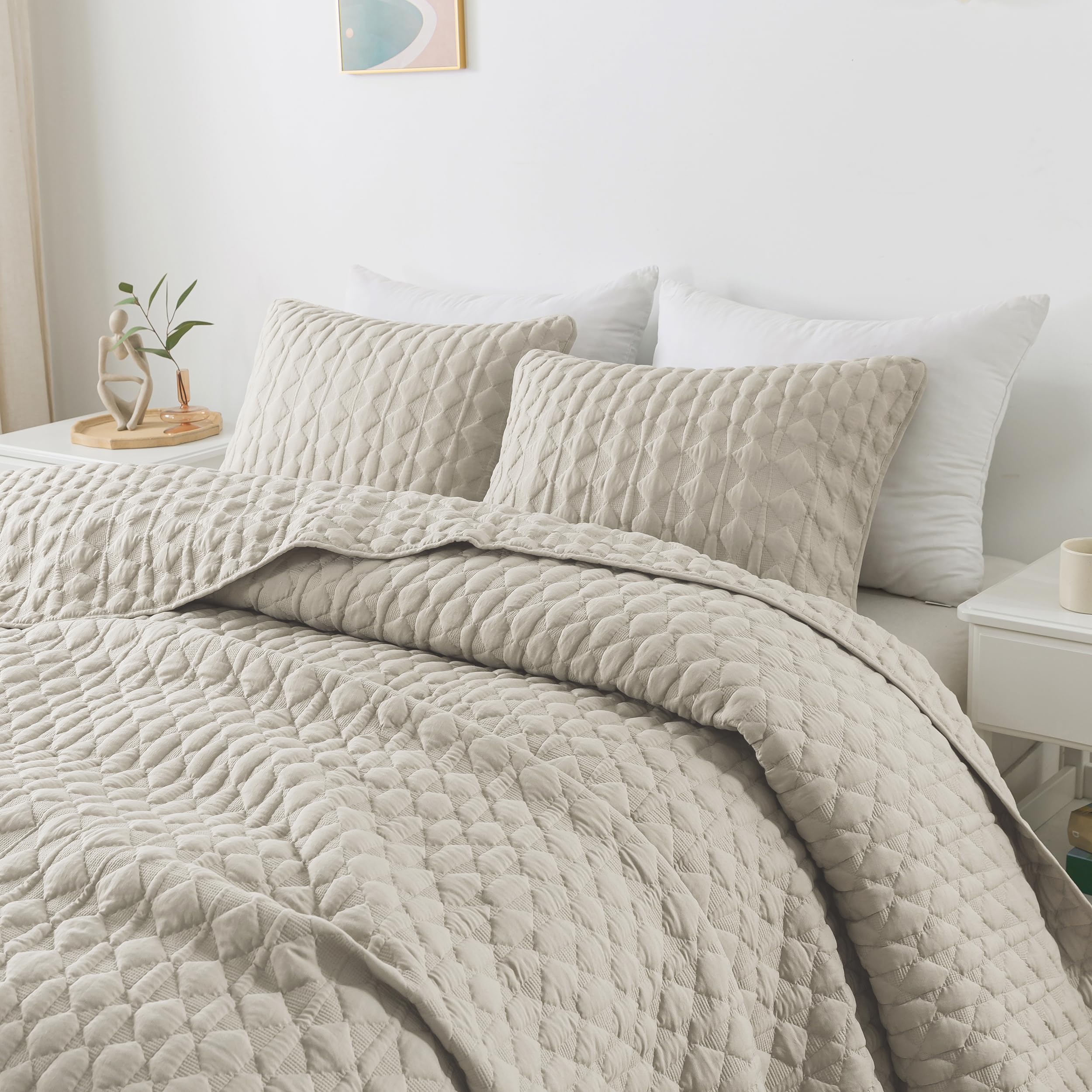 Wdcozy Light Beige Quilts Queen Size Bedding Set With 2 Pillow Shams, Lightweight Soft Full Bedspread Coverlet, Thin Comforter B