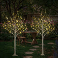 LIGHTSHARE 6 Feet 72L LED Birch Tree Lights, Pack of 2, Warm White, for Holiday Party and Christmas Decoration, Indoor and Outdo