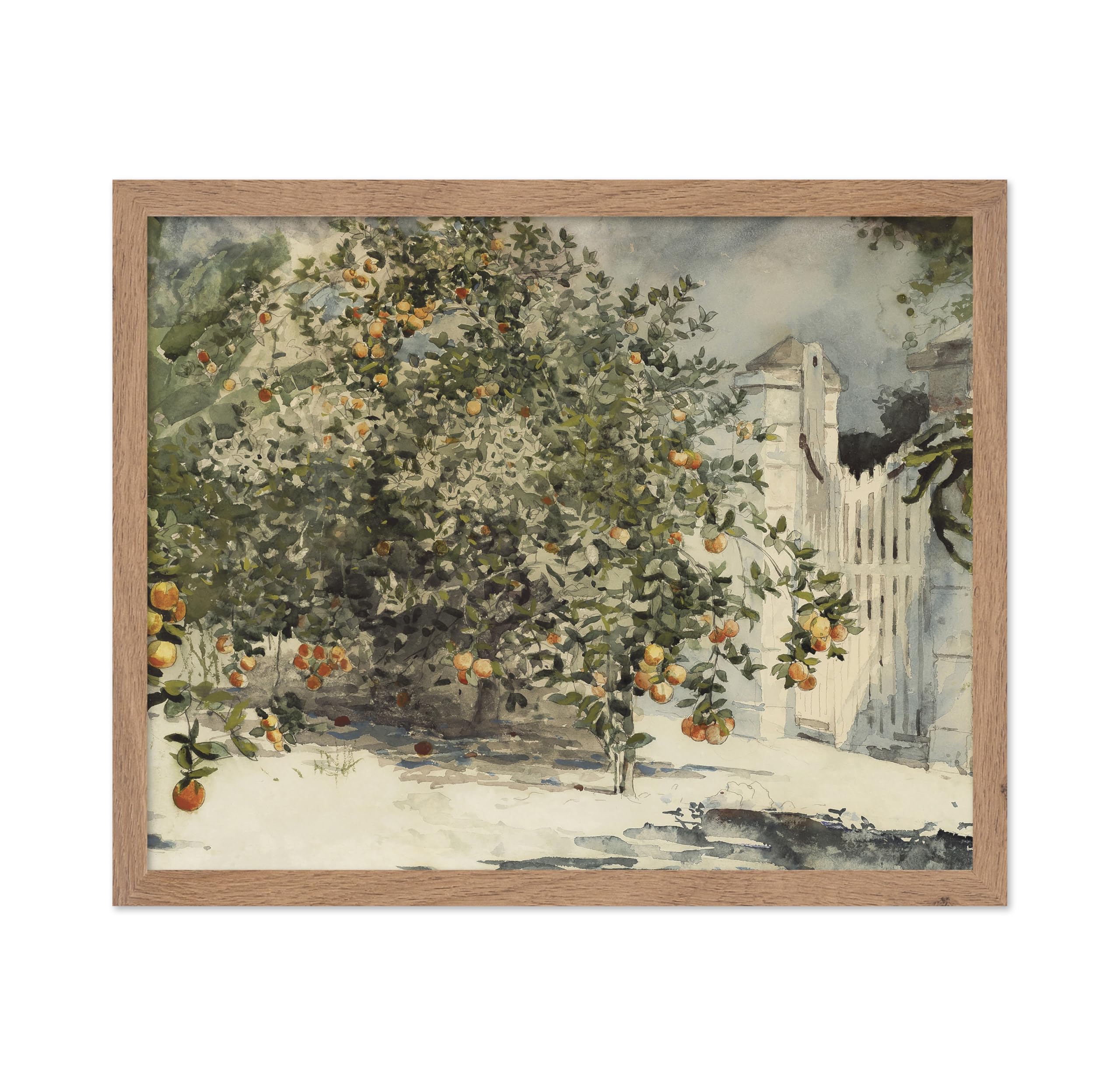 Poster Master Vintage Orange Trees and Gate Painting Poster - Retro Orange Tree Print - Fine Art - Watercolor Art - Gift for Men