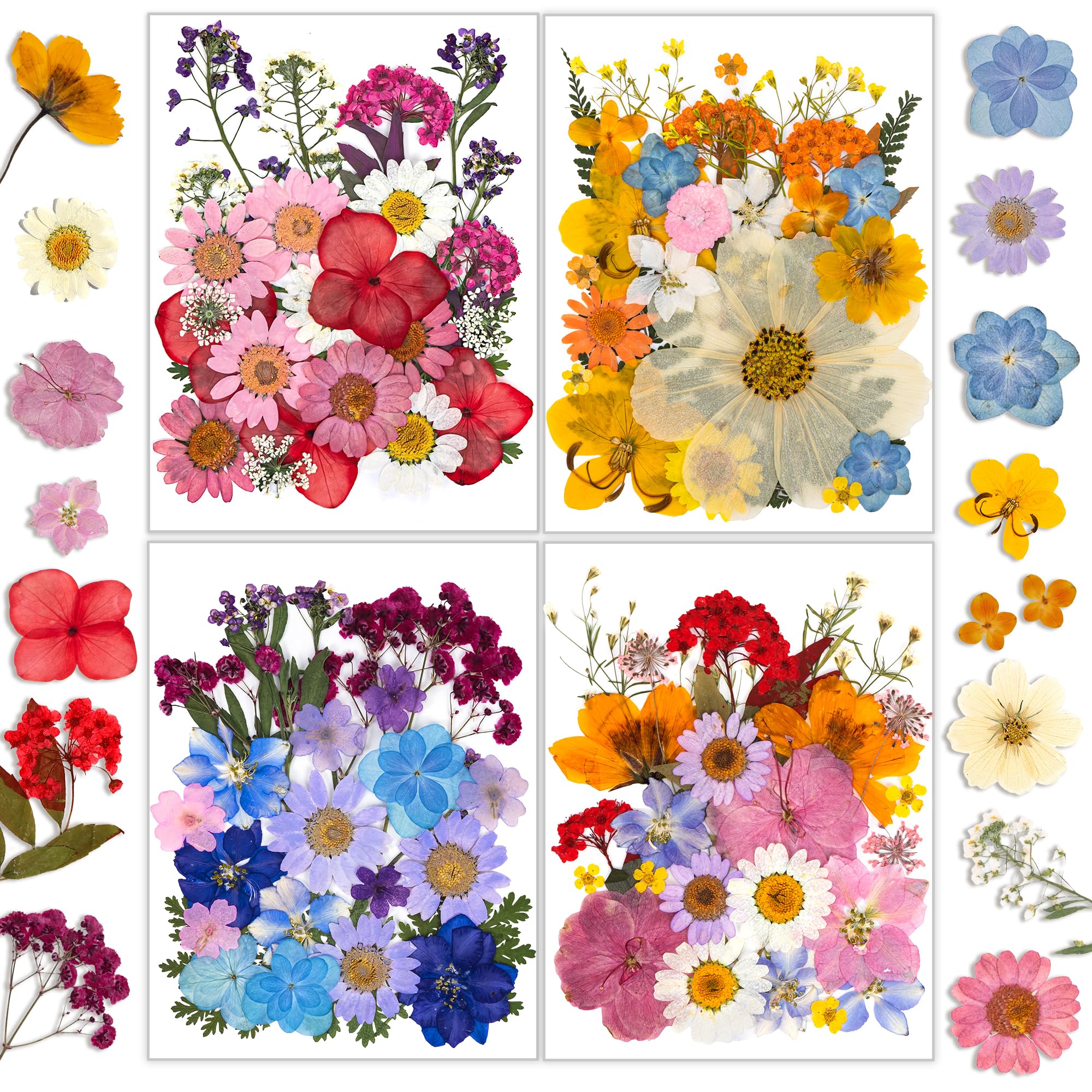 Resiners 100Pcs Dried Flowers for Craft, Pressed Flower Real Natural Dried Flowers Herbs Dry Leaves for Resin Craft Jewelry Maki
