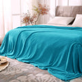 Bedelite Fleece Blankets Queen Size Bluebird Throw Blankets For Bed, Luxury Plush Cozy Fuzzy Blanket 90X90 Inches, Super Soft Wa