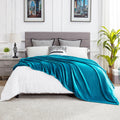 Dreamnine Super Large Soft Fuzzy Flannel Fleece Bed Blanket 90'' X 80'', Decorative Solid Lightweight Big Velvet Blanket, Luxury