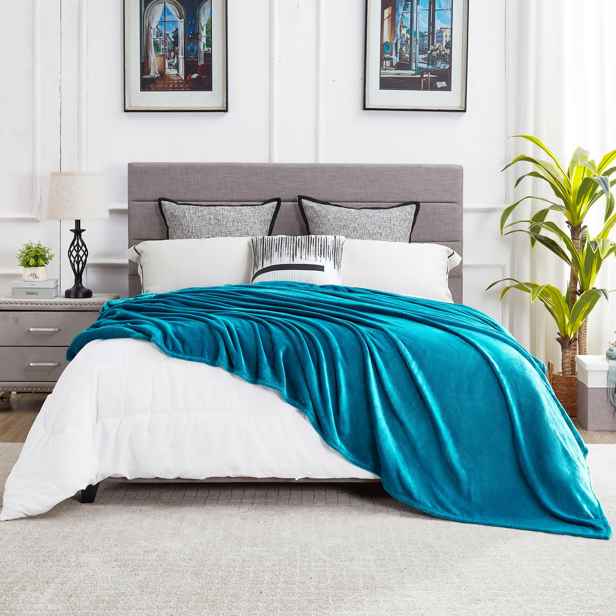 Dreamnine Large Soft Fuzzy Flannel Fleece Throw Blanket For Couch Sofa 60'' X 80'', Decorative Solid Lightweight Velvet Bed Blan