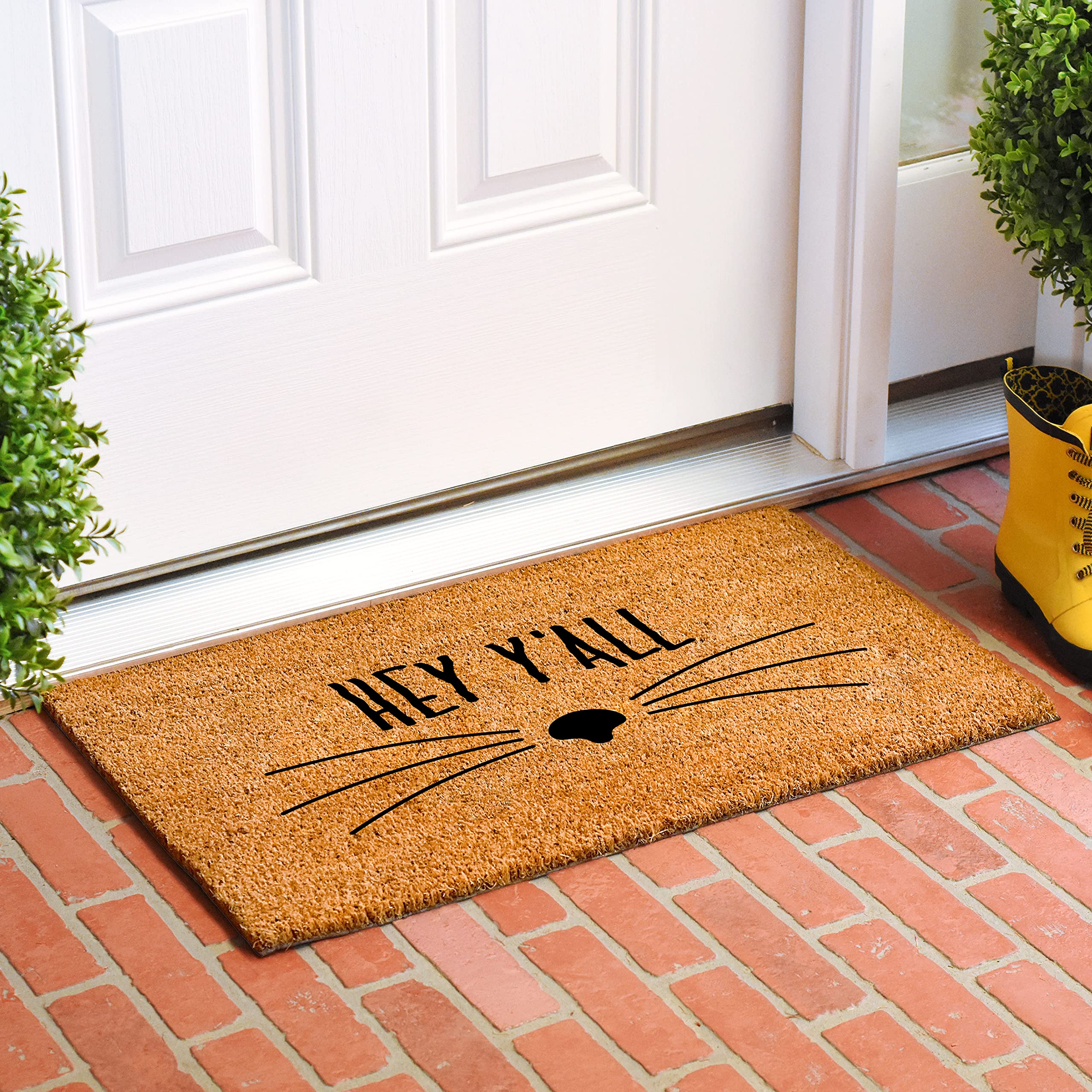 Calloway Mills 108693048 Hey Yall Whiskers Doormat, 30' X 48'