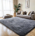 KCHOWUA Grey Rug for Bedroom 5x8 Fluffy Rugs for Living Room Thick Machine Washable Plush Rug for Kids Baby Room Nursery Soft Sh