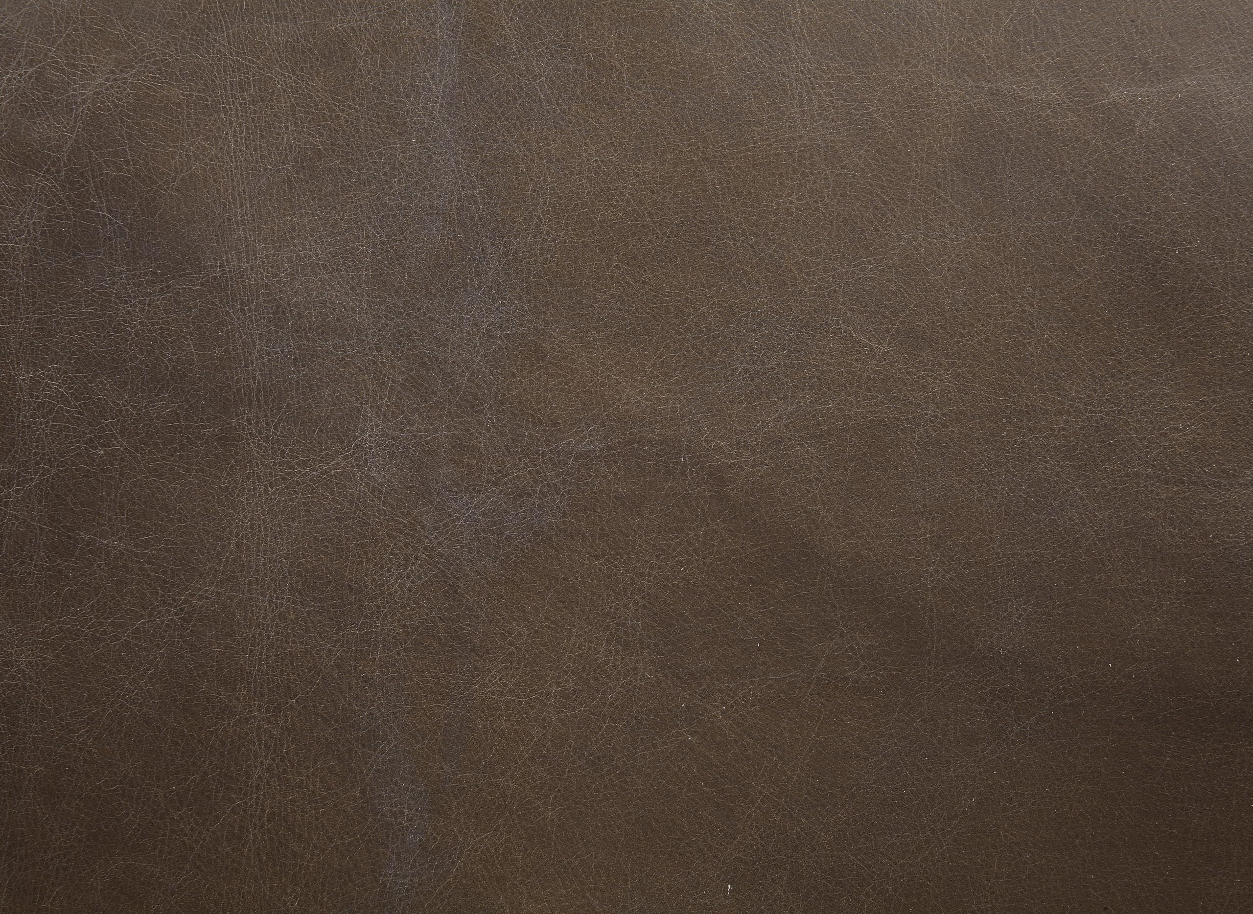 Acme Furniture Saturn Leather Metal Frame Accent Chair Cushion