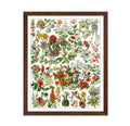 Poster Master Vintage Poster - Retro Drawing Print - Gift for Artist, Gardener - Botanical Garden, Floral, French Flowers - Wall