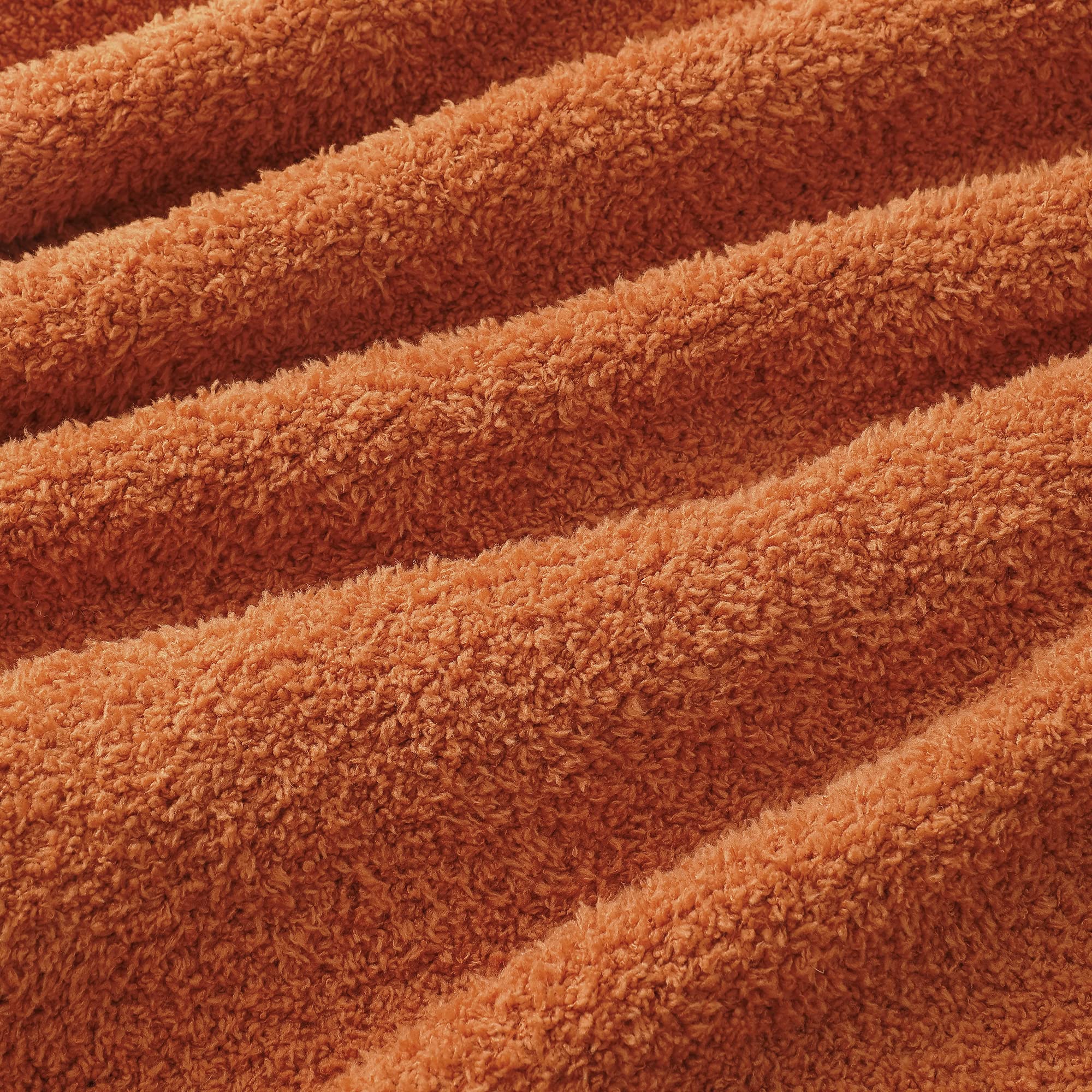Bearberry Super Soft Fluffy Throw Blanket Lightweight Cozy Warm Bed Blankets For Couch Bed Sofa All Season (Caramel, 60   X80
