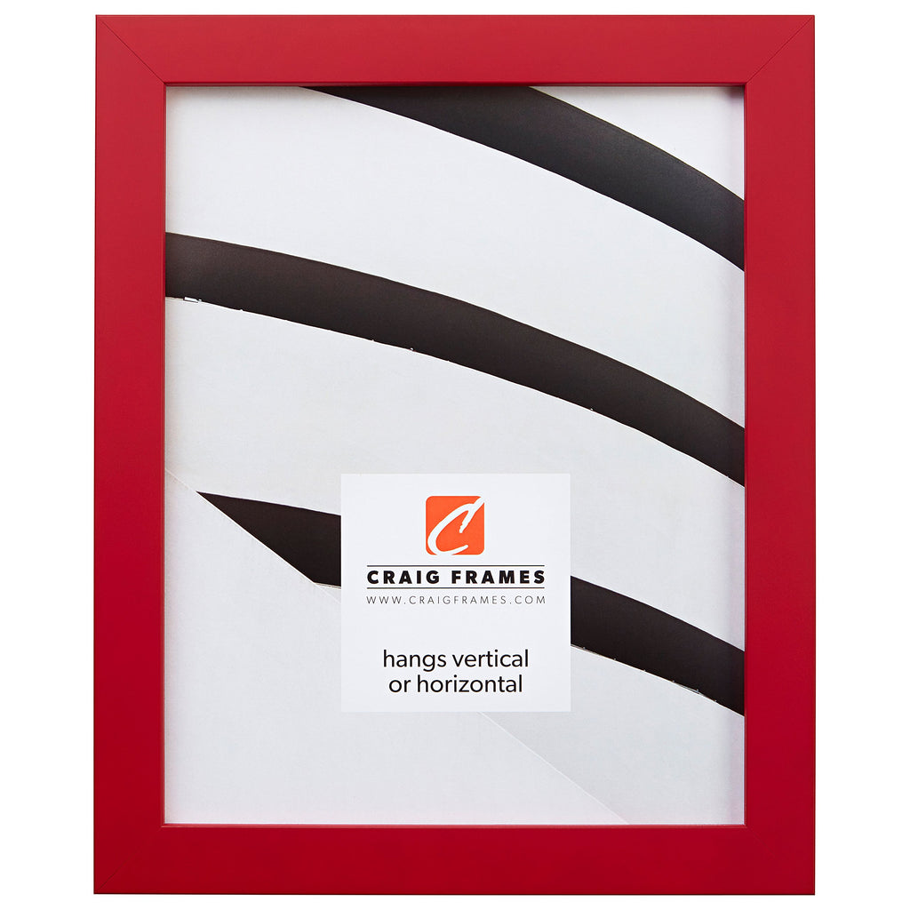 Craig Frames Confetti, Modern Red Picture Frame, 20 x 20 Inch