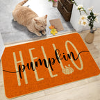 Happy Easter Decorative Welcome Door Mat, Easter Bunny Tail Indoor Outdoor Non-Slip Welcome Mat,Happy Easter Rabbit Entryway Fro
