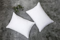 Snug&Cozy Grey Goose Feather Down Pillow For Sleeping(2 Pack)- Queen Size(20In   30In), Goose Feather&Down Filling, 100% Cotton