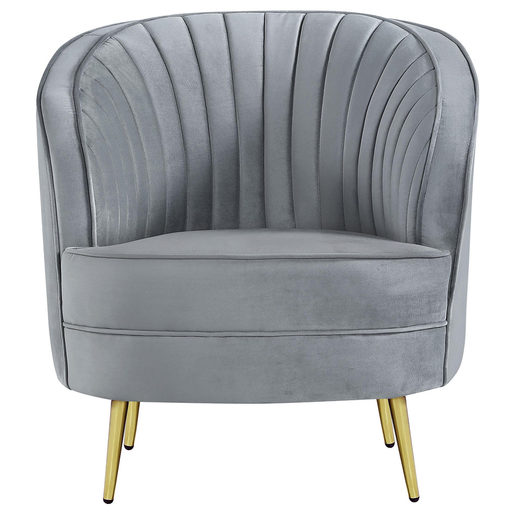 Coaster Sophia Chair, Grey