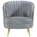 Coaster Sophia Chair, Grey