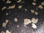 HomeRoots Decor 6' Gold Devore on Black Stenciled Cowhide Rug