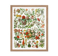 Poster Master Vintage Adolphe Millot Poster - Retro Drawing Print - Gift for Artist, Gardener - Botanical Garden, Floral, French