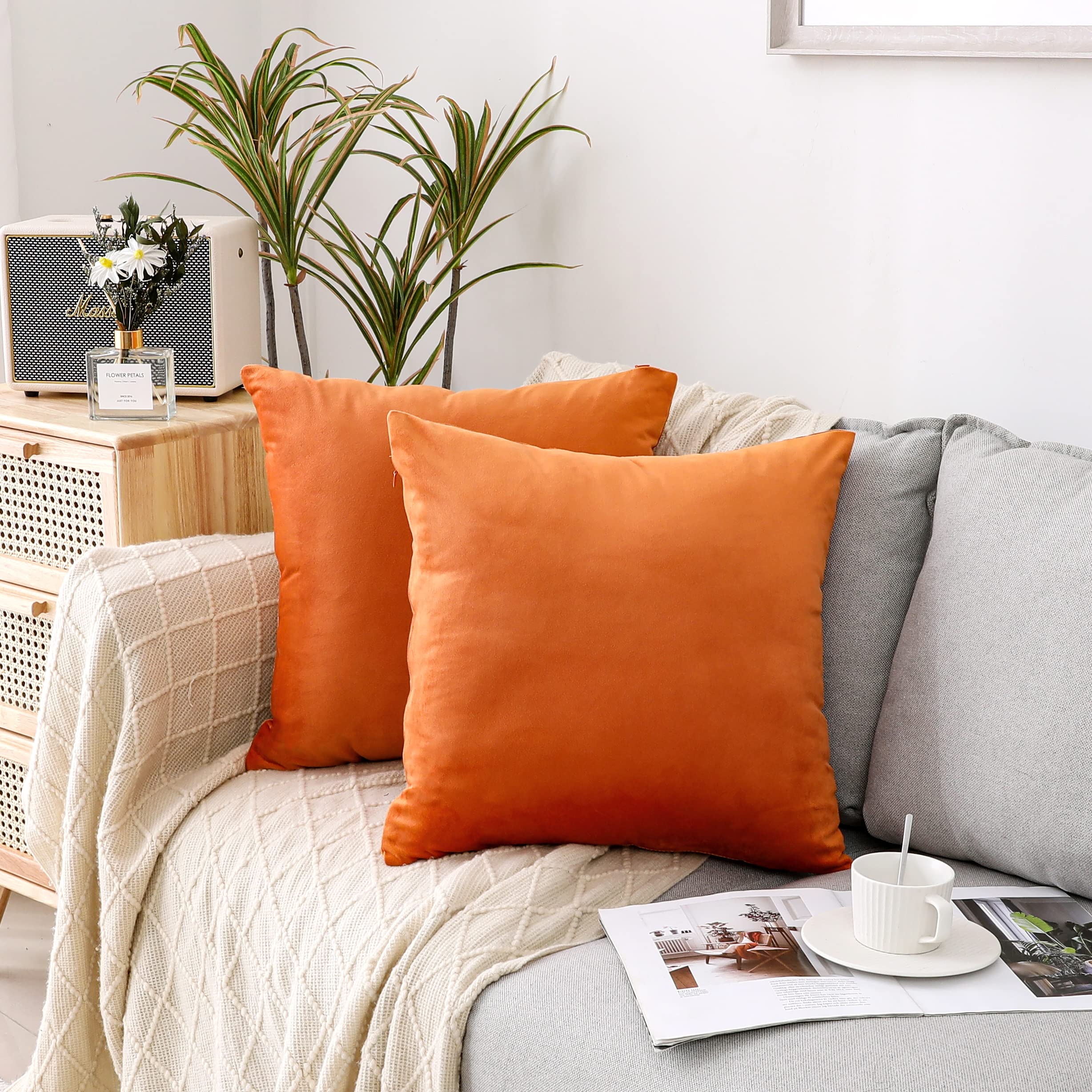 Nini All Decorative Throw Pillow Covers Pack Of 2, Halloween Velvet Cushion Case For Couch Bedroom Living Room Outdoor, Pillow C