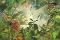 Komar XXL4-031 Into The Wild Wall Mural, Green