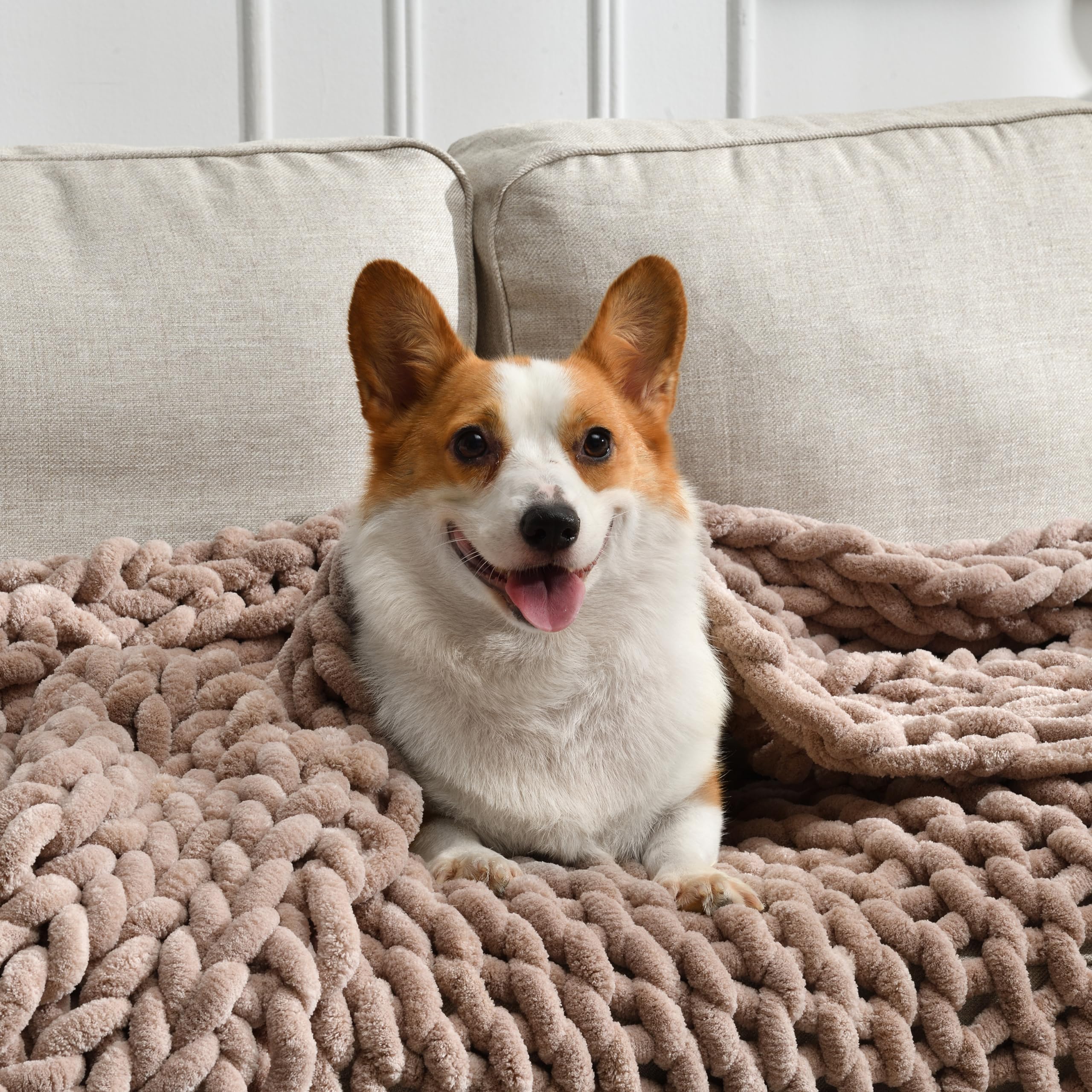 Feabuccy Soft Chunky Knit Blanket, 50X60 In Handmade Thick Chenille Yarn Throw Without Shedding & Raveling, Aesthetic & Cozy Hom