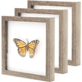 Super-Sturdy, Real Wood 8x10 Shadow Box Frame 3pk. Genuine Hardwood Displays with Real Glass. Best Shadowbox to Showcase Photos,