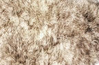 HomeRoots New Zealand Sheepskin, Microsuede 72' x 72' Gradient Chocolate, Octo Sheepskin - Area Rug