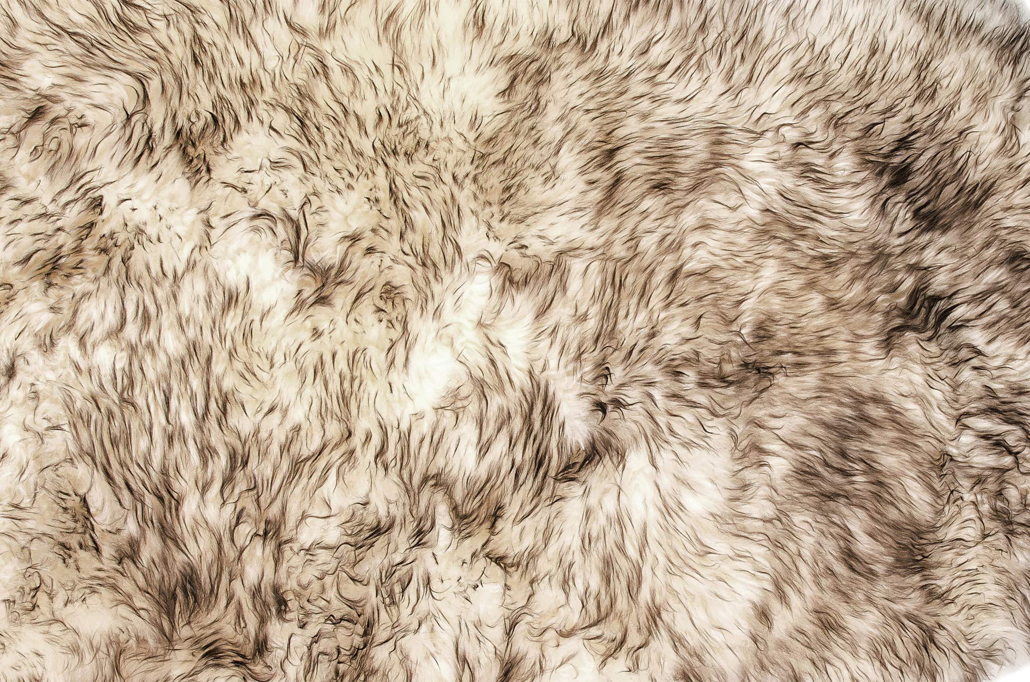 HomeRoots New Zealand Sheepskin, Microsuede 72' x 72' Gradient Chocolate, Octo Sheepskin - Area Rug
