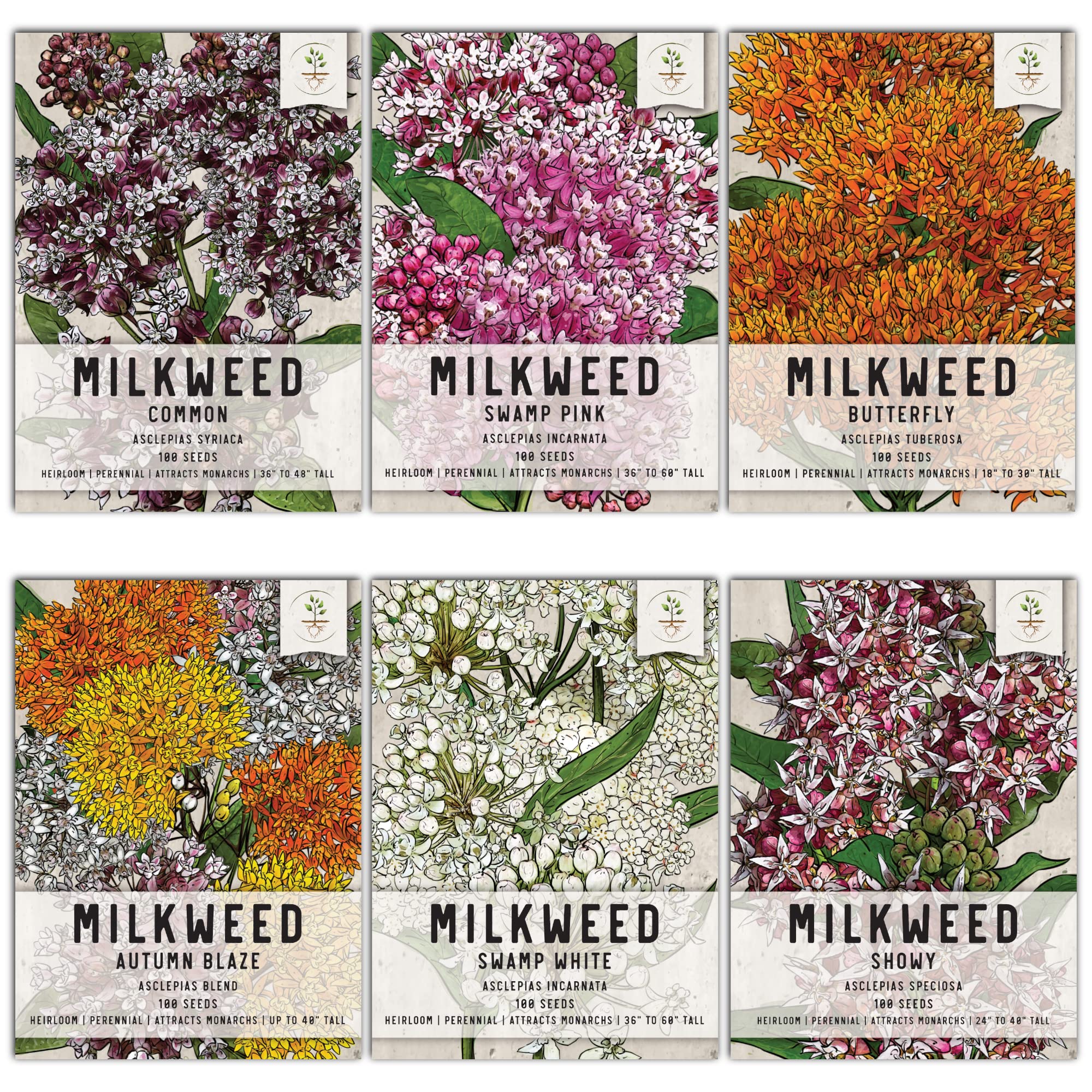Seed Needs, Milkweed Seed Packet Collection To Attract Monarch Butterflies (6 Individual Seed Varieties To Plant) Heirloom & Unt