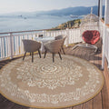 Pauwer Waterproof Outdoor Rug 6Ft, Reversible Plastic Straw Patio Camping Rug, Indoor Outdoor Rv Mat Carpet For Deck, Camper, Po