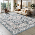 Foxmas 8x10 Area Rugs for Living Room, Machine Washable Vintage Rug, Non-Slip Low Pile Throw Rugs with Rubber Backing Washable C