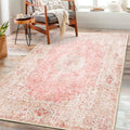 Castage Pink Rug 3x5,Washable Area Rugs for Bedroom Living Room Kitchen Entryway,Small Boho Vintage Bohemian Distressed Non Slip