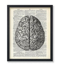 Poster Master Dictionary Art Poster - Human Brain Print - Anatomical Brain Art - Anatomy Art - Gift for Doctor, Nurse - Great Wa