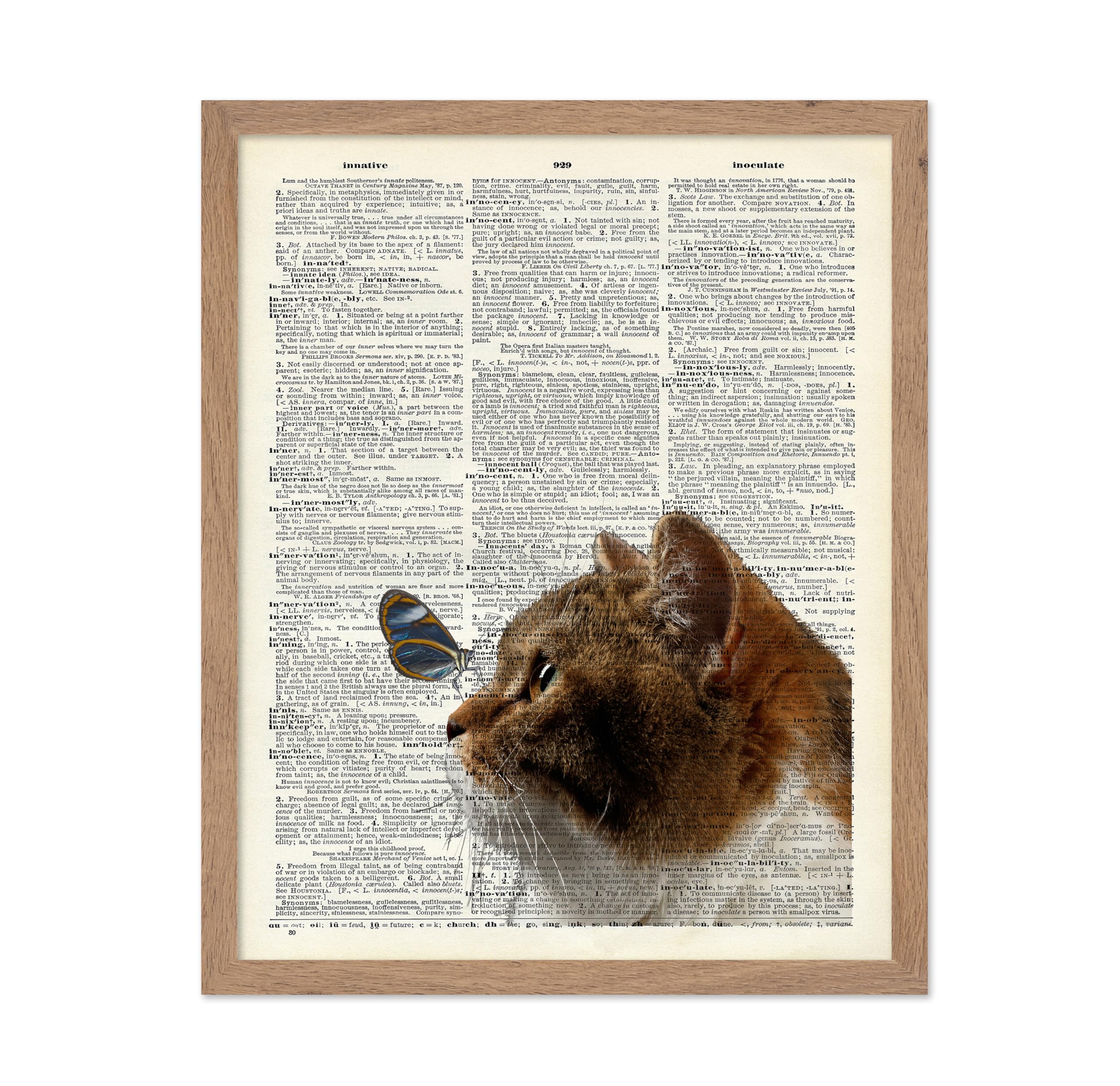 Poster Master Dictionary Art Poster - Butterfly on Cat Print - Cat and Butterfly Art - Gift for Veterinarian, Animal Lovers - Gr