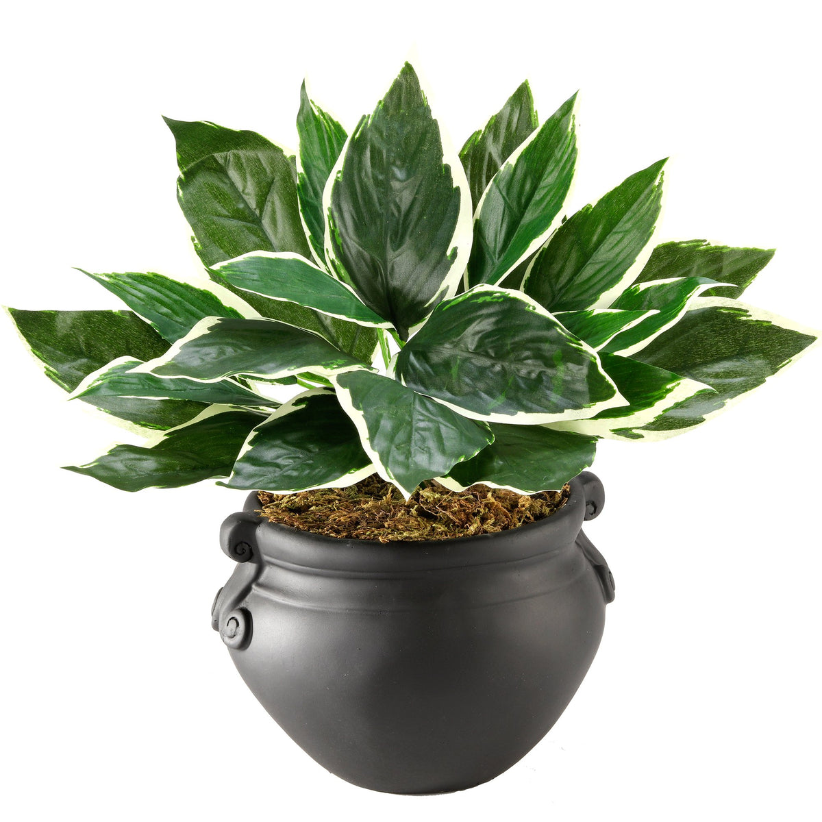 Nudell T7960 Indoor Artifical Hosta, Fake Table Top Decorative Potted Plant For Home Or Office, 14&quot;, Green/White