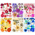 221Pcs Real Nature Dried Pressed Flowers For Resin Craft, Dry Pressing Floral With Butterfly Transparent Stickers Set For Diy Je