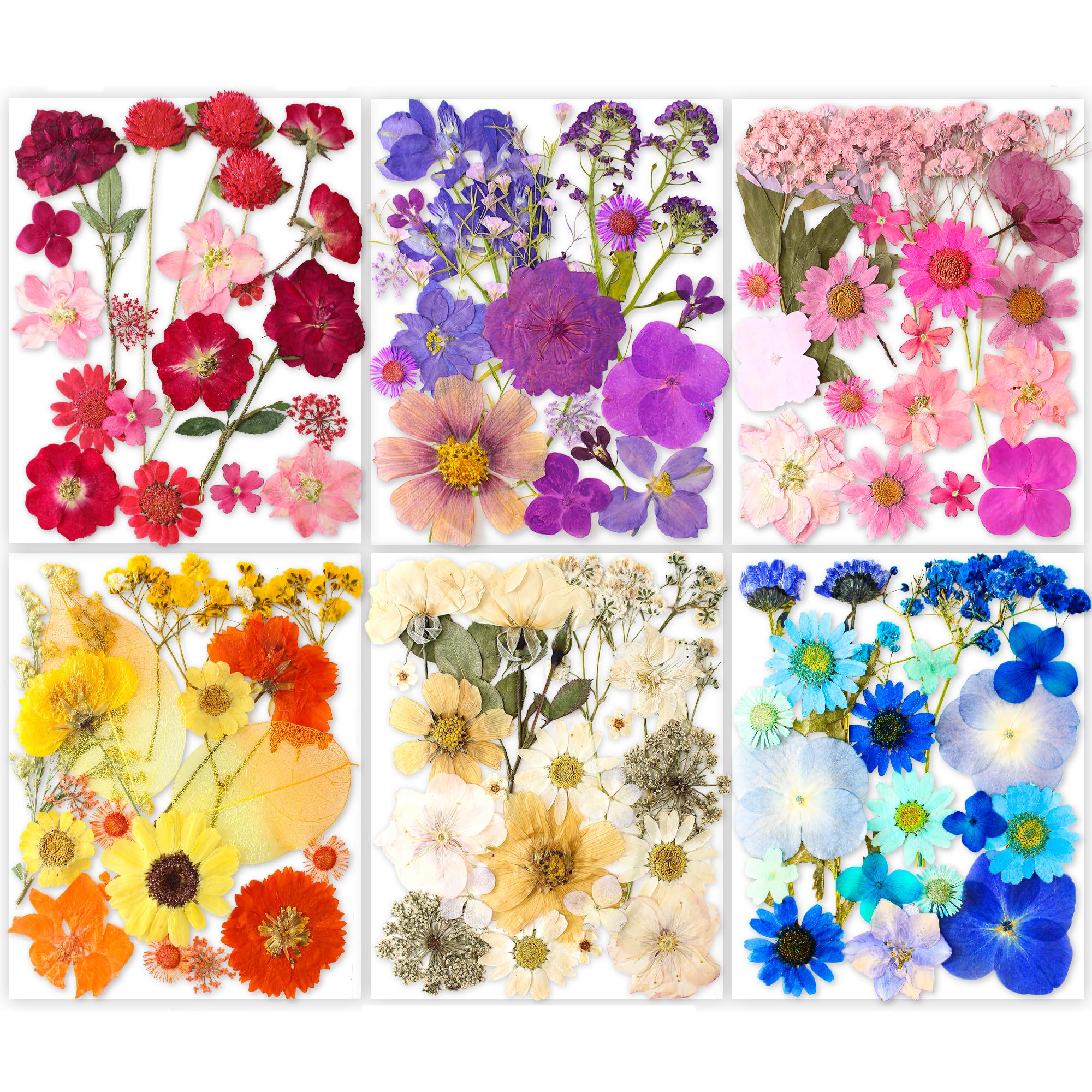 221Pcs Real Nature Dried Pressed Flowers For Resin Craft, Dry Pressing Floral With Butterfly Transparent Stickers Set For Diy Je