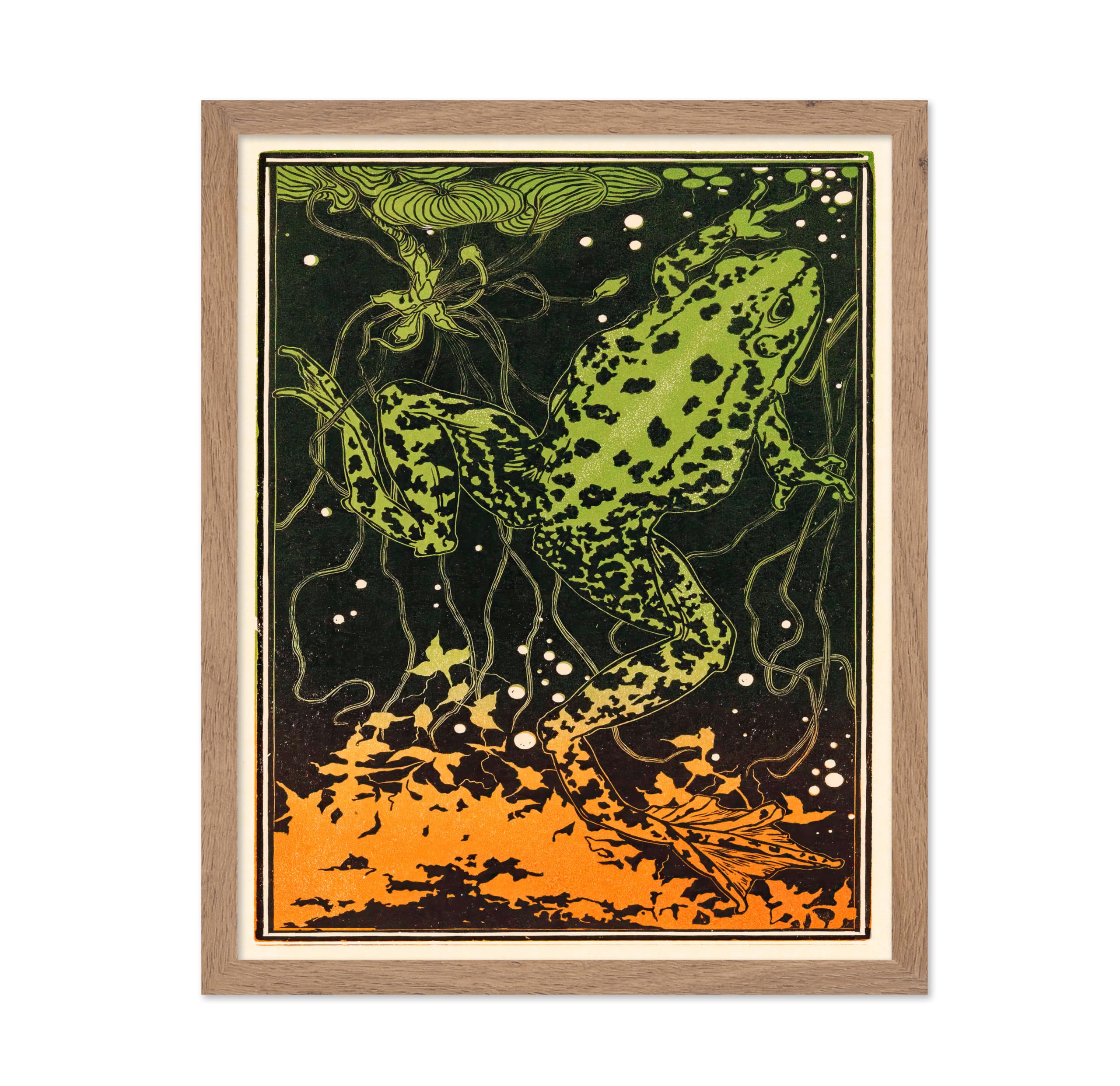 Poster Master Frog Poster - Retro Swimming Frog Print - Amphibians Art - Toad Art - Abstract Art - Jungle Art - Frog Underwater 