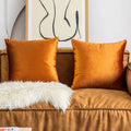 Home Brilliant Velvet European Pillow Shams Large Autumn Pillow Cover Decorative Pillow Cases For Bed Office Cafe, Set Of 2, 24