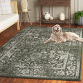 SAFAVIEH Adirondack Collection Area Rug - 9 x 12, Dark Green & Ivory, Transitional Design, Stain Resistant, Ideal for High Tra